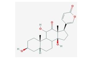 沙蟾毒精對(duì)照品標(biāo)準(zhǔn)品