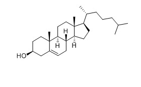 膽固醇對照品