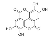 鞣花酸對(duì)照品