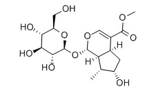 馬錢(qián)苷對(duì)照品