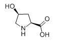 L-羥基脯氨酸對(duì)照品