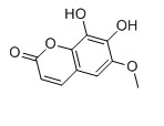 秦皮素對照品