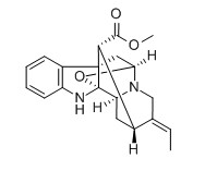 鴨腳樹葉堿對(duì)照品