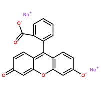 熒光素鈉分子結(jié)構(gòu)圖