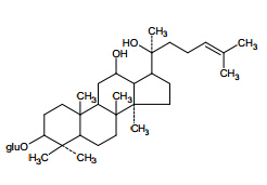 人參皂苷Rh2對(duì)照品