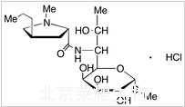 鹽酸林可霉素標準品