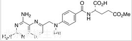 甲氨蝶呤雜質(zhì)H標準品