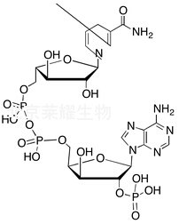 標(biāo)準(zhǔn)品