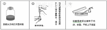 蘇云金芽孢桿菌 ATCC10792使用說明書