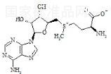 S-Adenosyl-L-Methionine標(biāo)準(zhǔn)品