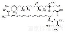 兩性霉素X1標(biāo)準(zhǔn)品