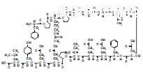 Des-Gly標(biāo)準(zhǔn)品