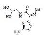 Thiazolylacetylglycine Oxime Acetal