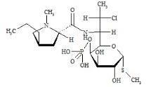 克林霉素磷酸酯EP雜質(zhì)D標(biāo)準(zhǔn)品