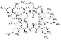 環(huán)孢菌素G標(biāo)準(zhǔn)品