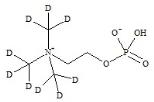 膽堿磷酸-d9標(biāo)準(zhǔn)品