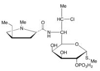 克林霉素B 2-磷酸酯標(biāo)準(zhǔn)品