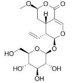 表斷馬錢子甙半縮醛內(nèi)酯