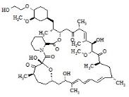 依維莫司相關化合物1標準品