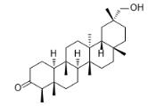 29-羥基無羈萜-3-酮對照品