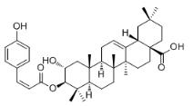 3-O-順式對(duì)香豆?；介釋?duì)照品