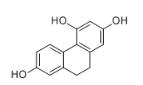 2,4,7-三羥基-9,10-二氫菲對(duì)照品
