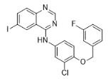 N-[3-氯-4-(3-氟芐氧基)苯基]-6-碘喹唑啉-4-胺對(duì)照品