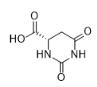 L-二氫乳清酸對照品