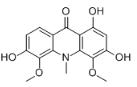 Buxifoliadine H標準品