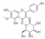 6-Methoxykaempferol 3-O-galactoside