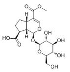 11-Methylforsythide標準品