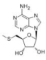 5-脫氧-5-甲硫腺苷標(biāo)準(zhǔn)品