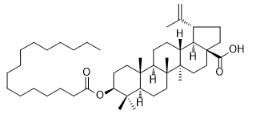 白樺脂酸棕櫚酸酯標(biāo)準(zhǔn)品