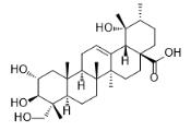 23-羥基委陵菜酸標準品