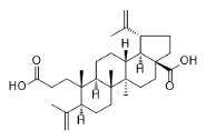 3,4-Secolupa-4(23),20(29)-diene-3,28-dioic acid標(biāo)準(zhǔn)品