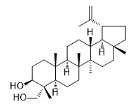 羽扇-20(29)-烯-3,23-二醇標(biāo)準(zhǔn)品