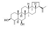 21αH-24-Norhopa-4(23),22(29)-diene-3β,6β-diol標(biāo)準(zhǔn)品