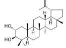 Lup-20(29)-ene-2α,3β-diol標(biāo)準(zhǔn)品