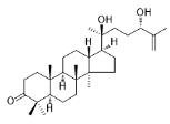 20,24-二羥基達(dá)瑪-25-烯-3-酮標(biāo)準(zhǔn)品