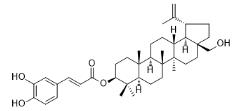 咖啡酸樺木醇酯標準品