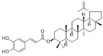 咖啡酸羽扇豆醇酯標準品