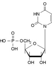 5-尿苷一磷酸標(biāo)準(zhǔn)品