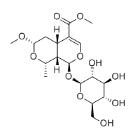 7α-O-甲基莫諾苷標(biāo)準(zhǔn)品