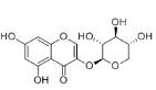 3,5,7-Trihydroxychromone 3-O-β-D-xylopyranoside標(biāo)準(zhǔn)品