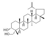 Lup-20（29）-烯-3α，23-二醇標(biāo)準(zhǔn)品