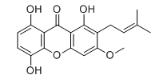 1,5,8-三羥基-3-甲氧基-2-異戊烯基氧雜蒽酮標(biāo)準(zhǔn)品