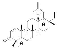 算盤子酮標(biāo)準(zhǔn)品