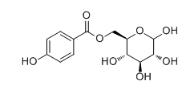 6-O-對羥基苯甲酰葡萄糖標準品