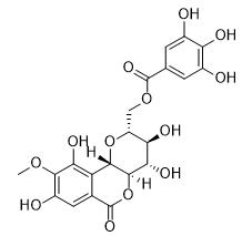 11-O-沒食子酰巖白菜素標(biāo)準(zhǔn)品