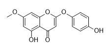 Demethoxy-7-O-methylcapillarisin標(biāo)準(zhǔn)品